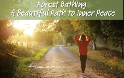 Forest Bathing – A Beautiful Path to Inner Peace